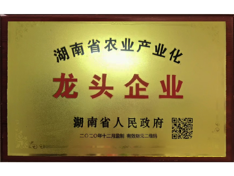 岳陽市漁之源食品有限公司,岳港漁都,洞庭魚港,散稱系列,田螺系列,臭豆腐加工，香豆腐加工，烤脖加工，魚仔,鴨排加工、雞丁加工代加工